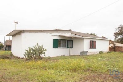 /international/pt/chamusca-santarem-120090137063/?lang=zh-tw