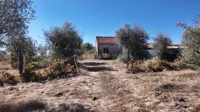 /international/pt/n18-21-6005-118-alcains-portugal-alcains-castelo-branco-310105188579/?lang=de