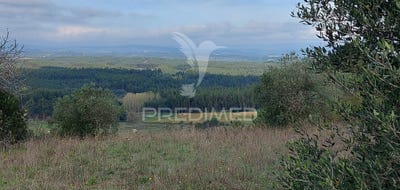 /international/pt/arneiro-das-milharicas-santarem-santarem-120088550072/