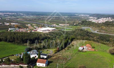 /international/pt/maiorga-leiria-120095846364/?lang=zh-tw