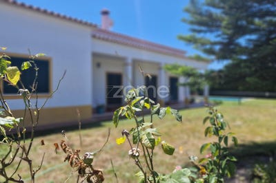 /international/pt/benavente-santarem-310093904966/
