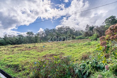 /international/pt/santana-madeira-310105339734/