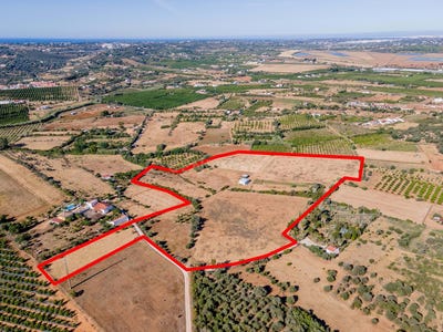 /international/pt/silves-faro-120091016795/