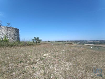 /international/pt/santarem-santarem-310093919794/
