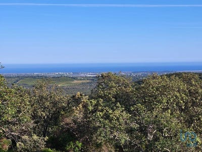 /international/pt/boavista-dos-pinheiros-beja-310101186032/