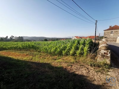 /international/pt/braga-braga-310101032181/?lang=zh-cn