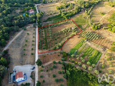 /international/pt/santarem-santarem-310101602607/