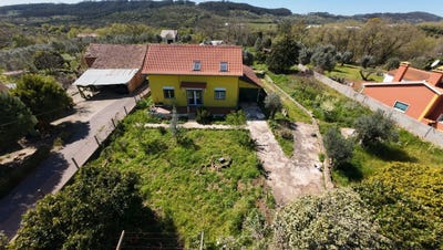 /international/pt/ferreira-do-zezere-santarem-310098703892/