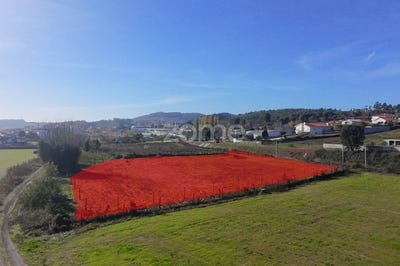 /international/pt/vila-nova-de-famalicao-braga-310104038371/