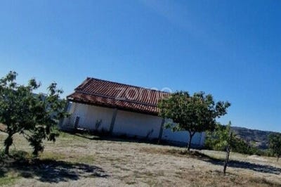 /international/pt/alijo-vila-real-310104167474/