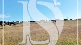 /international/pt/maiorca-coimbra-310100708842/?lang=pt