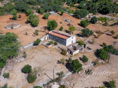 /international/pt/santa-barbara-de-nexe-faro-310100957231/?lang=fr