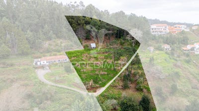 /international/pt/santo-antonio-da-serra-santa-cruz-madeira-310097952441/