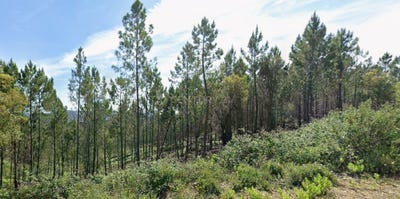 /international/pt/uniao-das-freguesias-de-mao-penhascoso-e-aboboreira-portugal-mao-setubal-municipality-310104859883/