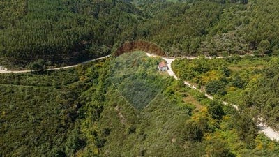 /international/pt/celorico-de-basto-braga-310102317212/