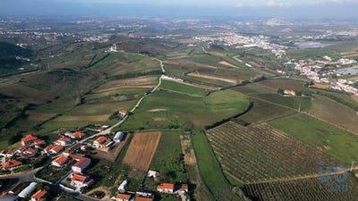 /international/pt/torres-vedras-lisbon-120096365409/