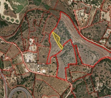 /international/pt/quinta-do-rogel-alcantarilha-faro-310100671139/