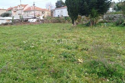 /international/pt/mangualde-viseu-310098389291/