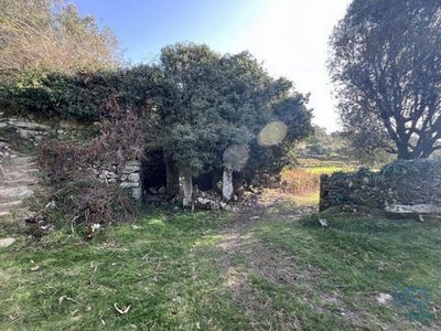 /international/pt/viana-do-castelo-viana-do-castelo-120098411406/
