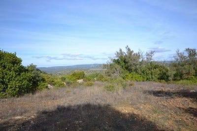 /international/pt/loule-faro-310104984079/
