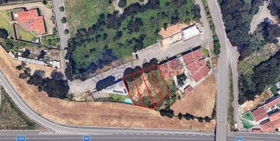 /international/pt/espinho-castelo-branco-310107522169/