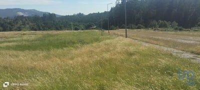 /international/pt/povoa-de-lanhoso-braga-310100085503/