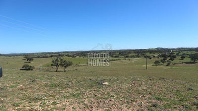 /international/pt/ourique-municipality-beja-120083719491/