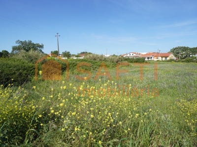 /international/pt/benedita-leiria-310100483207/