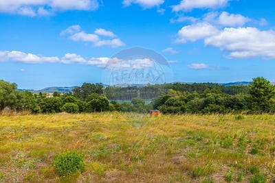 /international/pt/leiria-leiria-310108925130/?lang=de