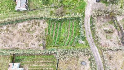 /international/pt/ilha-de-sao-miguel-azores-310100295561/
