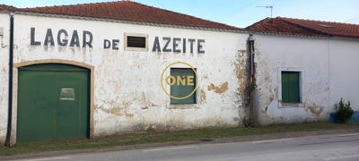 /international/pt/olaia-santarem-310108244893/