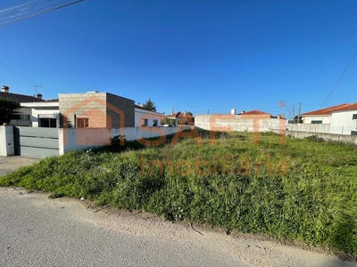 /international/pt/brogueira-santarem-310100483466/