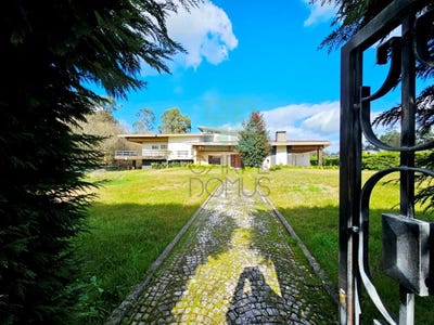 /international/pt/novais-braga-310105808803/