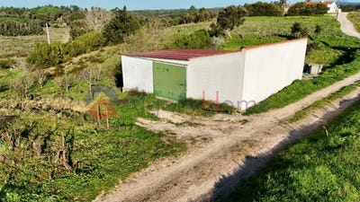 /international/pt/rogil-faro-310106382178/