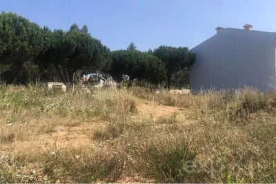 /international/pt/espinho-castelo-branco-310106776730/