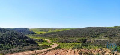 /international/pt/loureiro-vila-real-310102609380/