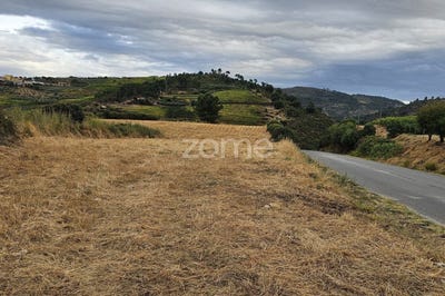 /international/pt/murca-guarda-310104169851/