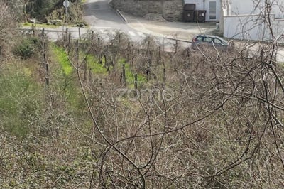 /international/pt/ribeira-de-pena-vila-real-310108002123/