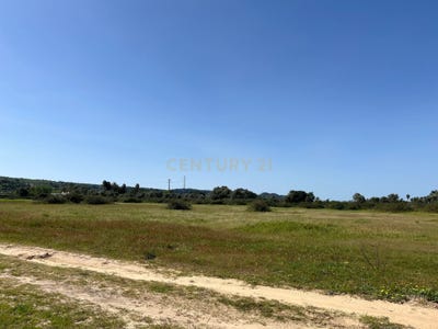 /international/pt/rua-das-alfacanhas-palmela-portugal-palmela-setubal-municipality-310098508043/