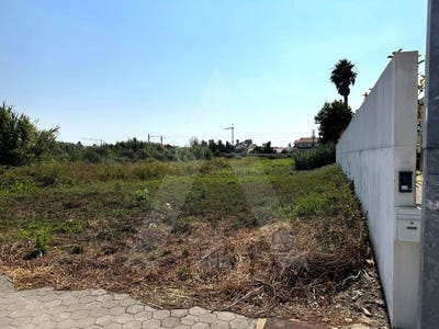 /international/pt/sao-bernardo-aveiro-310101512560/