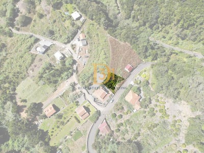 /international/pt/sao-vicente-madeira-madeira-310095172199/