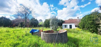 /international/pt/santarem-santarem-310098145591/