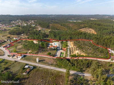 /international/pt/almagreira-leiria-310104569049/