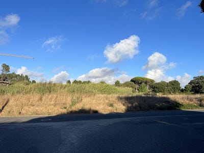 /international/pt/nadadouro-leiria-310101928249/
