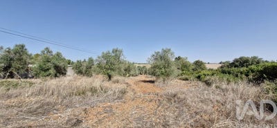 /international/pt/santarem-santarem-310103086942/