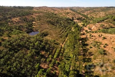 /international/pt/luzianes-gare-luzianes-gare-beja-310106775237/
