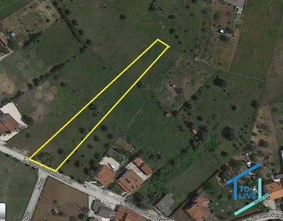 /international/pt/tomar-santarem-310103583280/