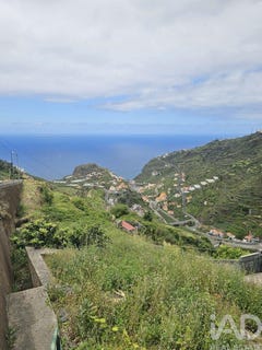 /international/pt/ilha-da-madeira-madeira-310101172540/