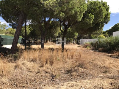 /international/pt/loule-faro-310100490807/