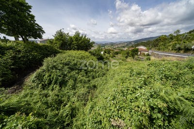/international/pt/braga-braga-310100227970/